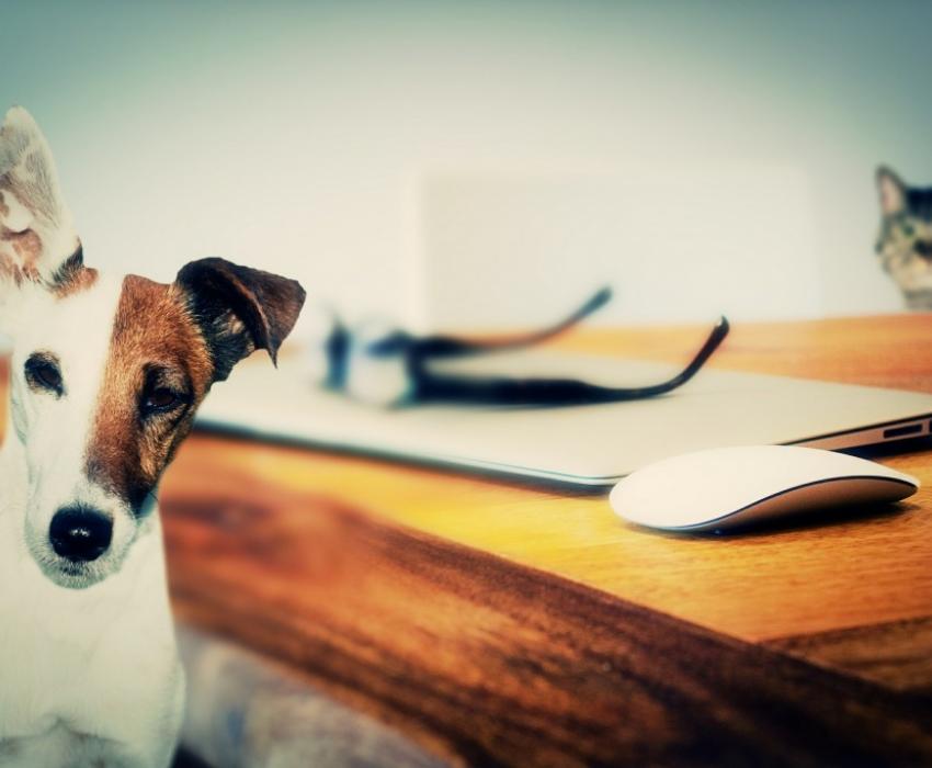 COBERTURAS DE SEGUROS